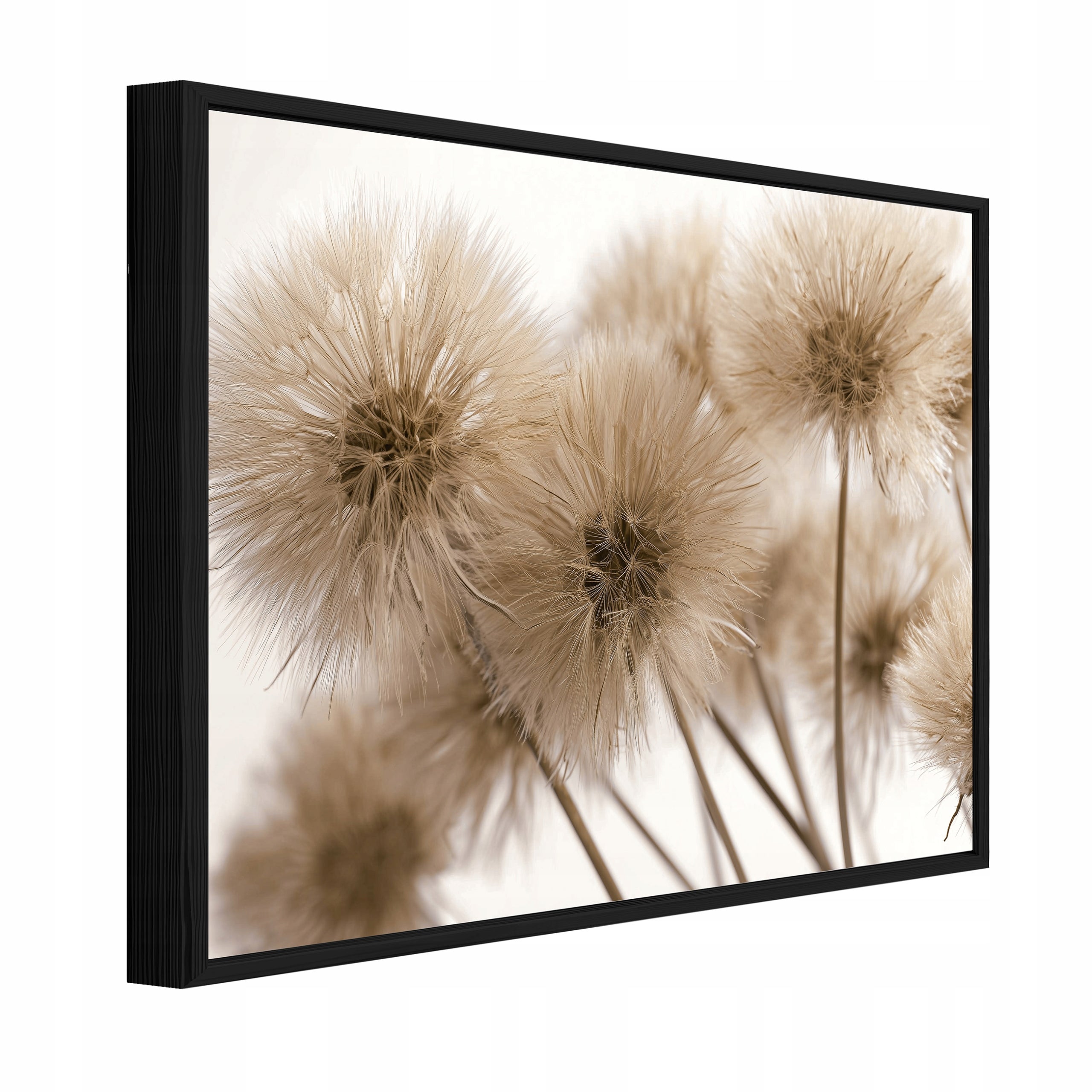 Tablou Canvas papadii bej flori Tablou decorativ Rama Neagra Living Bucatarie Tablouri de perete 60x40 cm