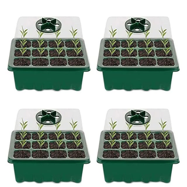 Mini serre pour plantes, 4 pièces, plateau de semis d'intérieur à 120 grilles, plateau de plantation avec couvercle