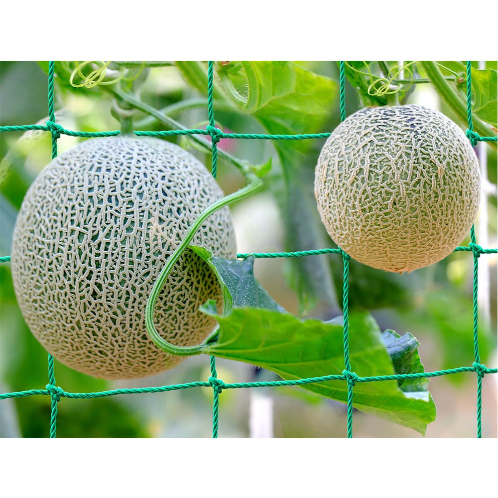 16×20m Filet D'escalade Pour Plantes De Jardinage, Filet De Support Tisse En Polyester Filet Escalade Pour Plantes 99093091