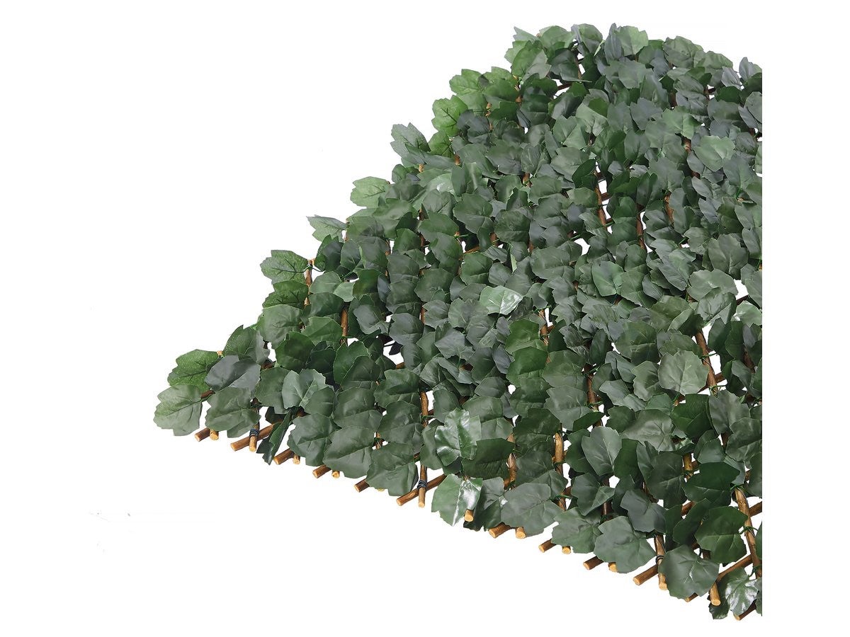 Set di 4 recinzioni a traliccio di salice - 4