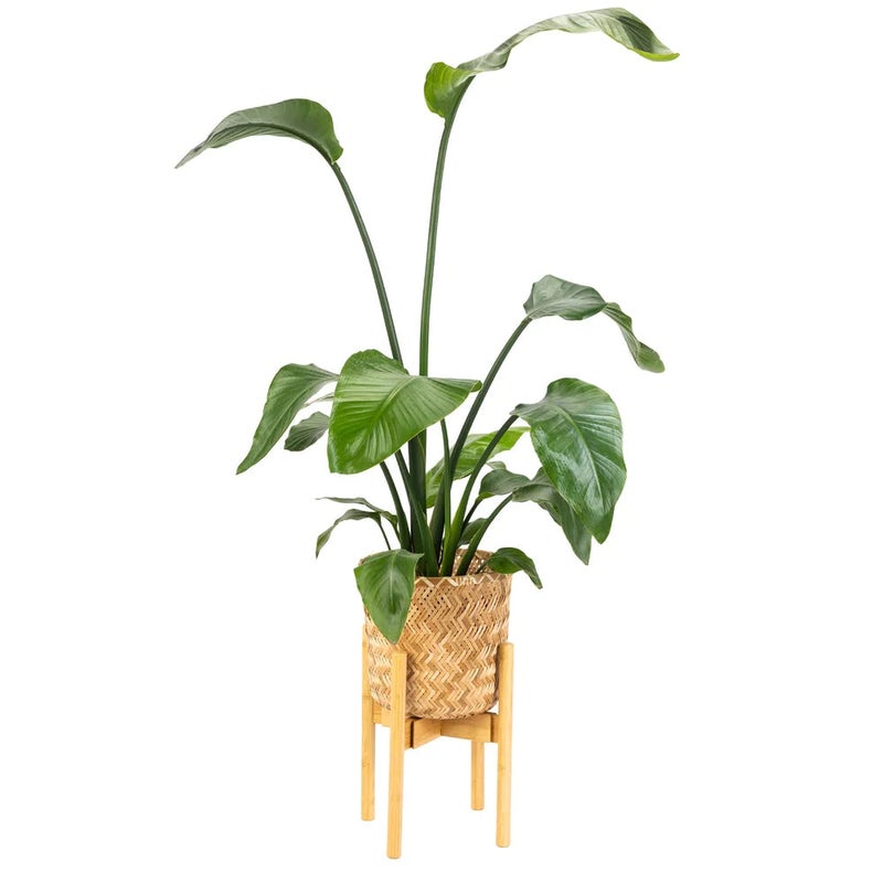 Kwietnik drewniany, stojak na kwiaty