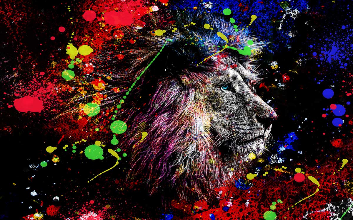 Cuadro león graffiti pop art - 80x50cm - made in france