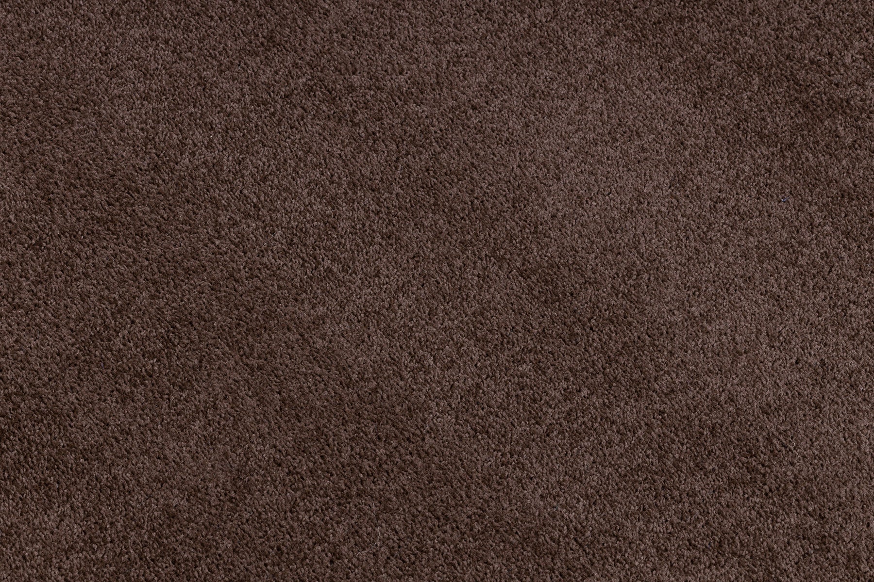 Covor - Mocheta Eton maro 300x500 cm | Leroy Merlin