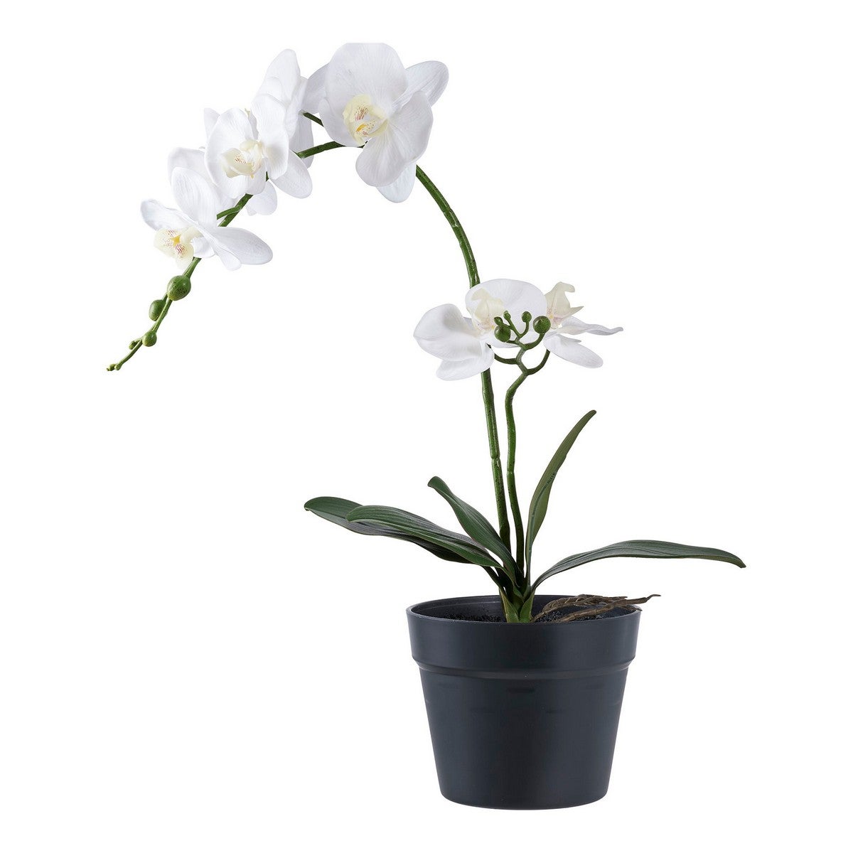 Sztuczna Roślina Orchidea, Plastik PE, Zielony, Seven Design