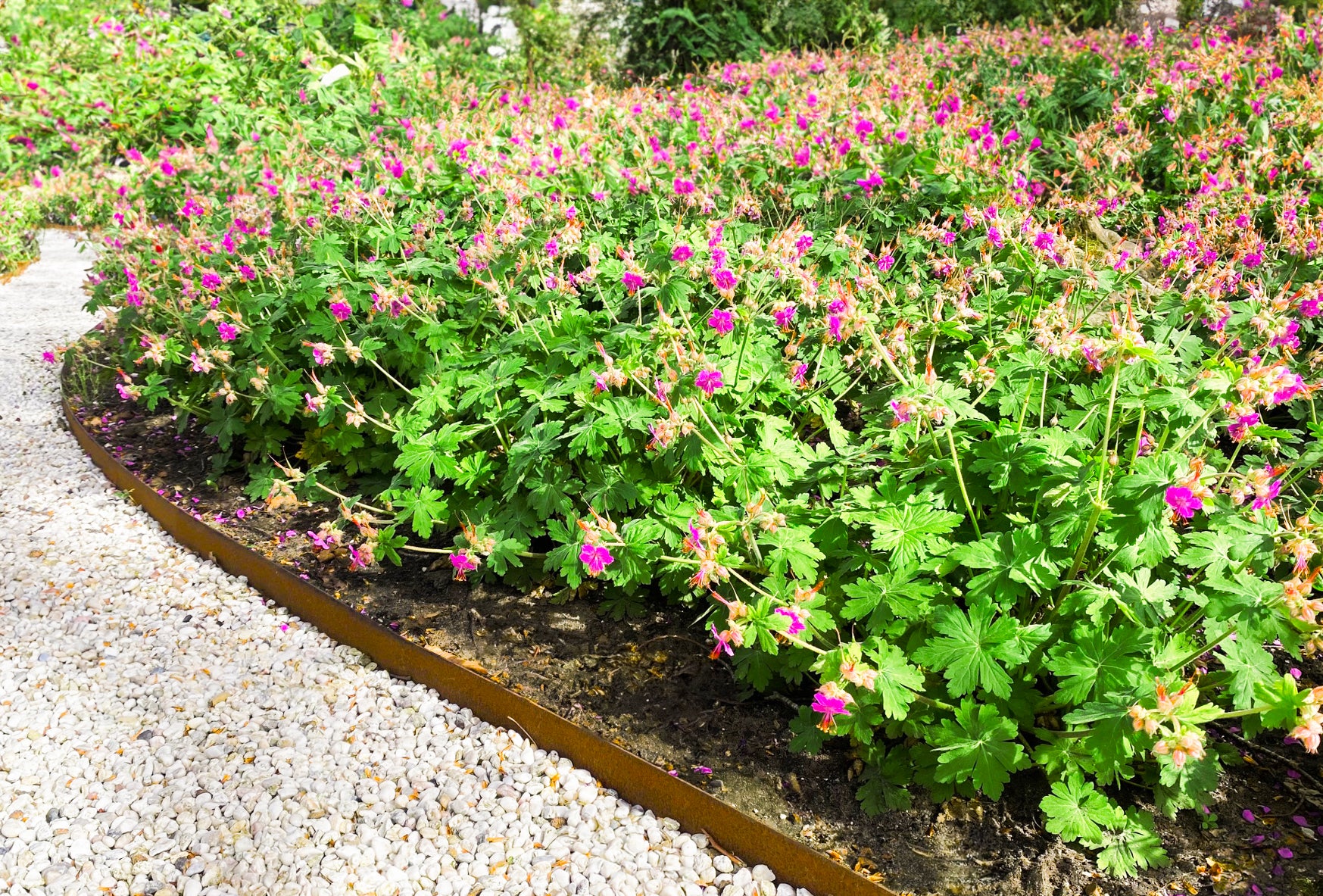 Wovar Bordure de jardin en acier Corten 16 x 106 cm Flexible - Par pièce - 4