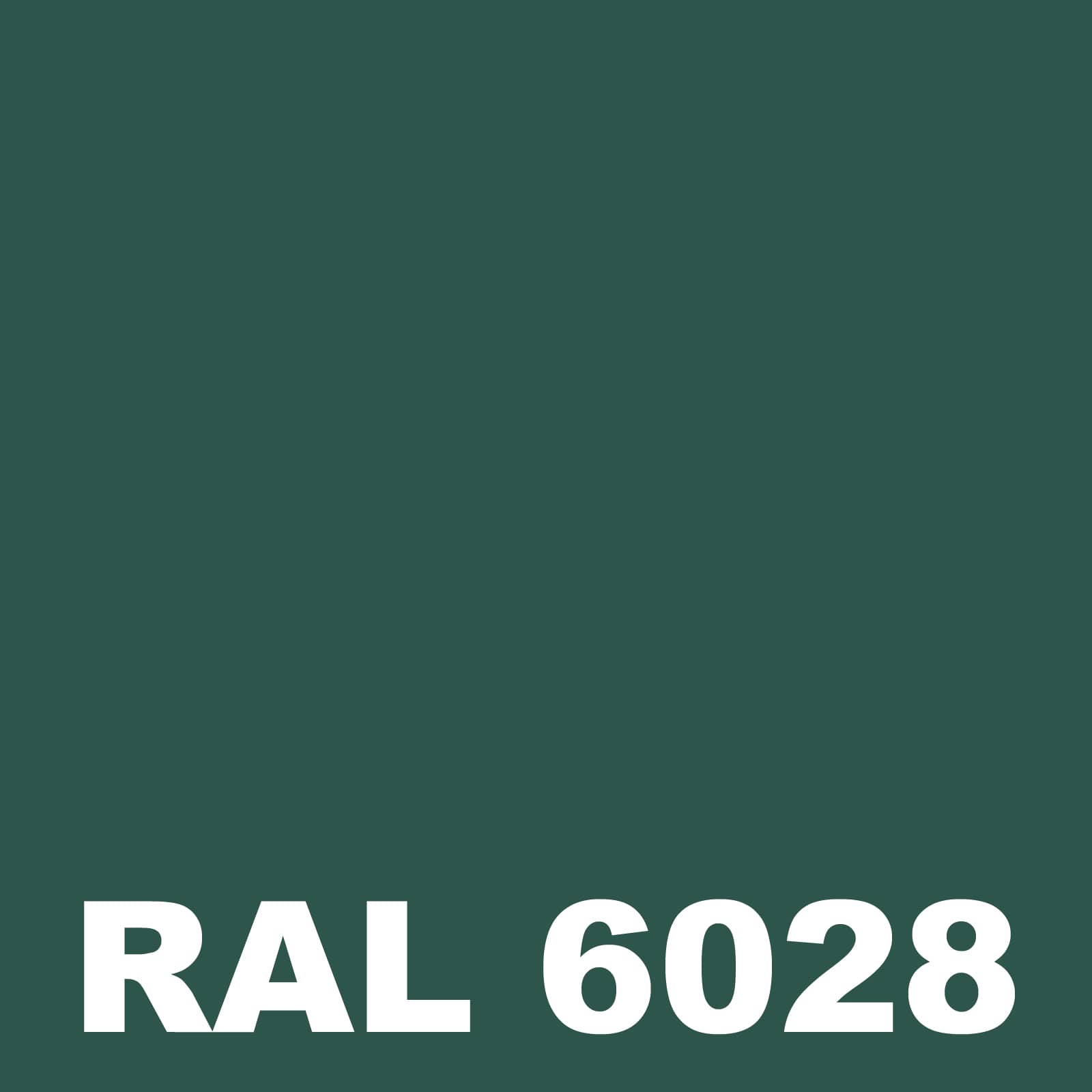 Peinture Mur Exterieur - Vert pin - RAL 6028 - 1 L - Métaltop | Leroy ...
