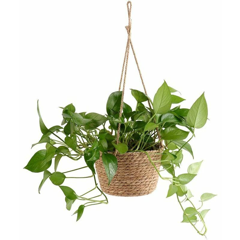 De fleurs à suspendre en corde de jute -pliable en jonc de mer, macramé -pour plantes succulentes, décoration intérieure ou extérieure - 2