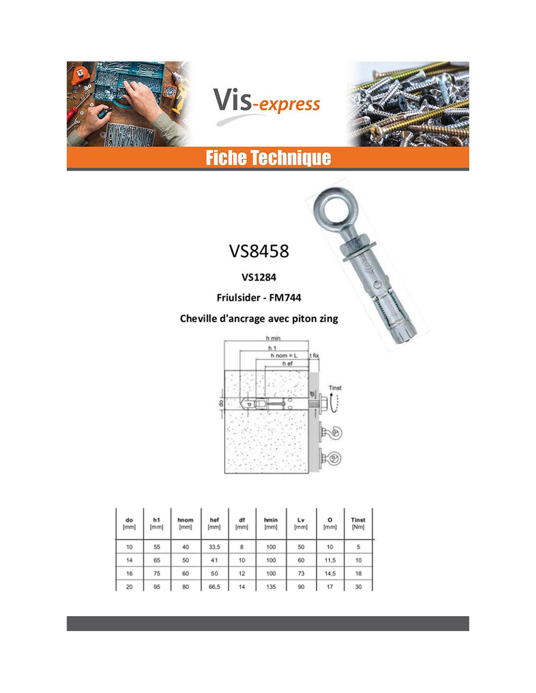 Cheville Ancrage Avec Piton M6 10X40 Acier zingué-1 piece - 5