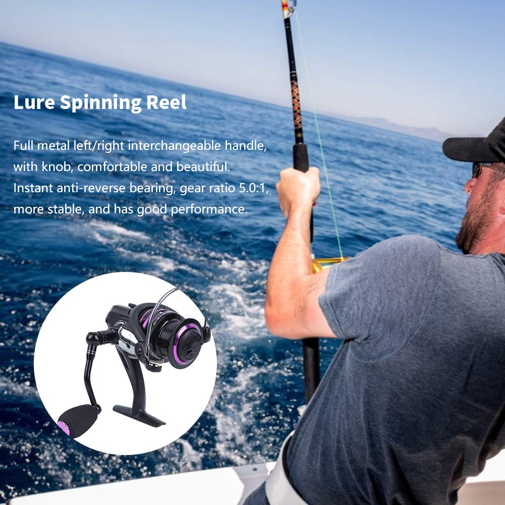 Accessorio per ruota da pesca con canna da mare, mulinello con esca di alta qualità (BT2000) - 9