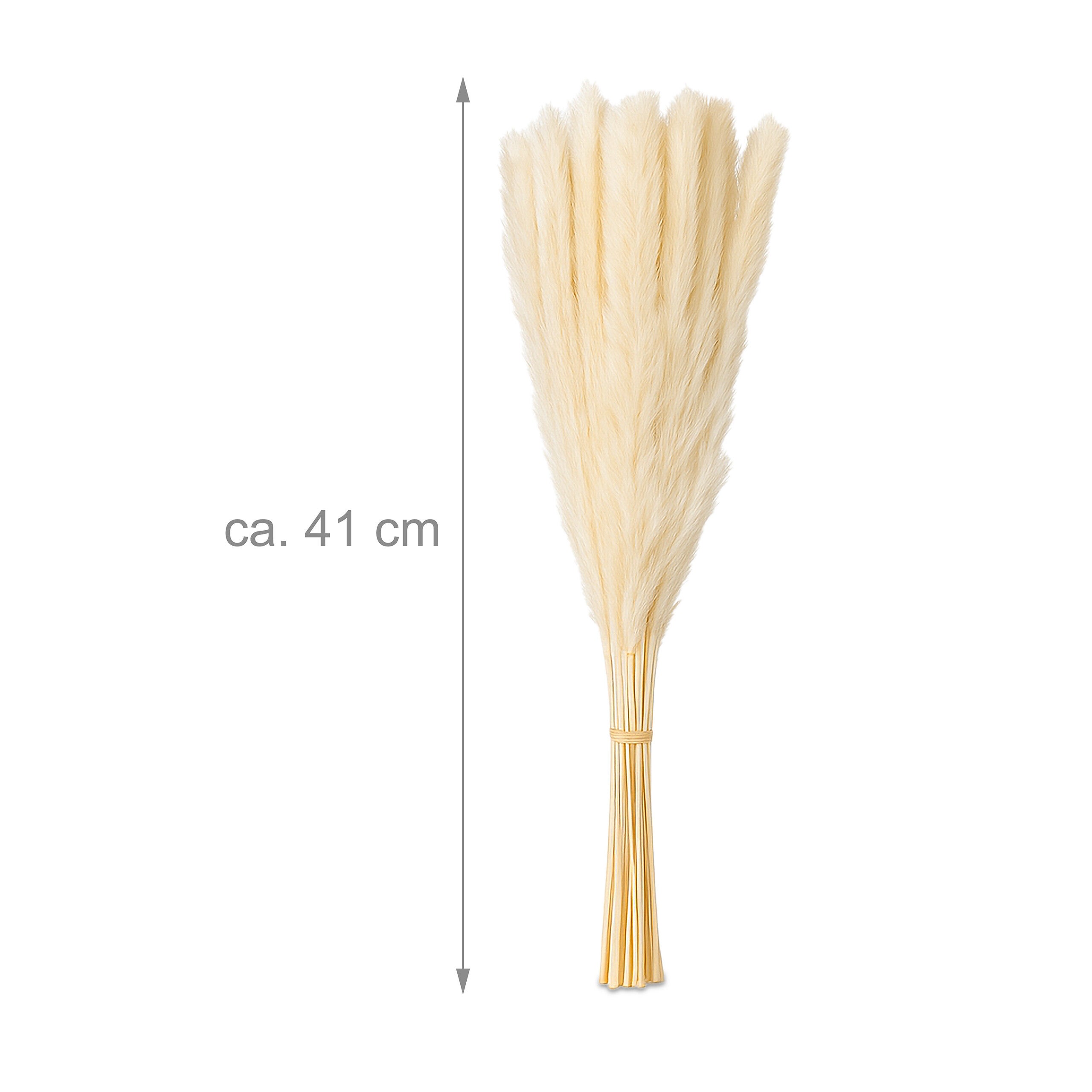 herbe de la pampa séchée, 144 pièces, longueur : 41 cm, fleurs séchées, déco boho, bouquet, multicolore, Relaxdays - 4