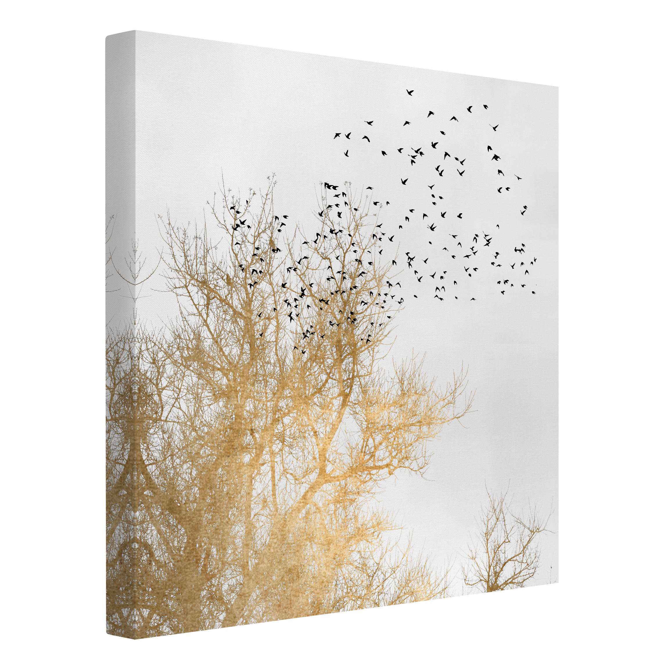 Impression sur toile tableau sur toile châssis doré arbres peinture oiseaux 39 cuisine chambre à coucher salon couloir 80 x 80 cm - 4