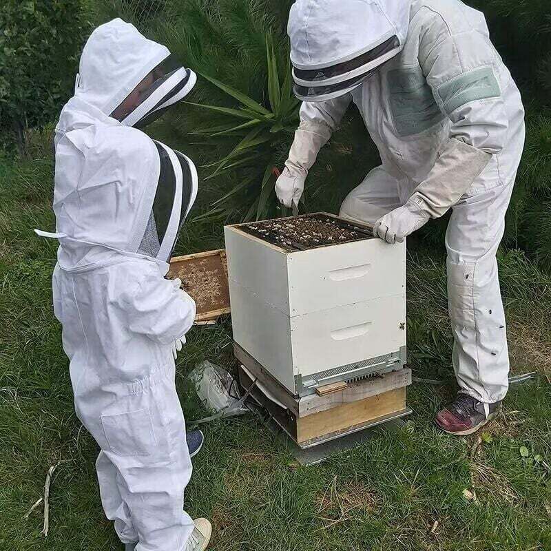 Vêtements D'apiculture avec des Gants combinaison apicole enfant - Coton à Manches Longues, Protection De l'enfant, Fournitures D'apiculture(M, white) - 3