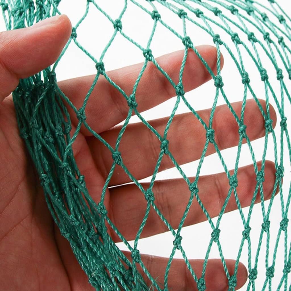 Liwein Filet De Protection Anti-Oiseaux 5x10m Noir - Maille 2,5cm Robuste Pour Jardin, Volière, Fruits & Légumes