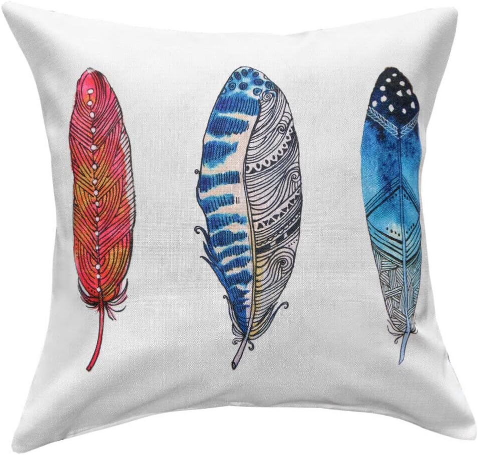 Housse de coussin plume