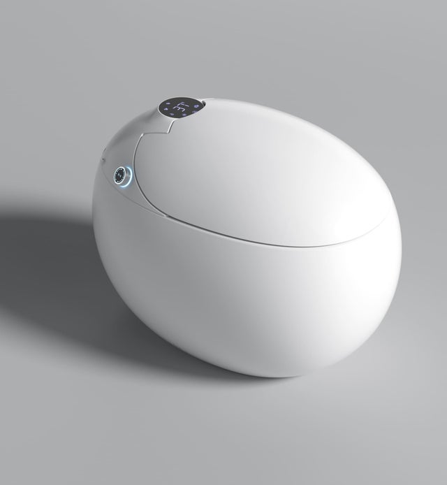 Toilette moderne japonaise Dojo