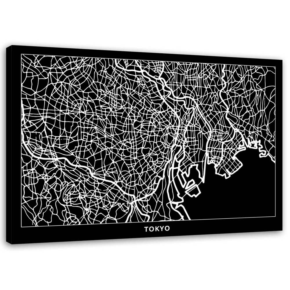 Obraz na płótnie, Tokio - plan miasta 100x70