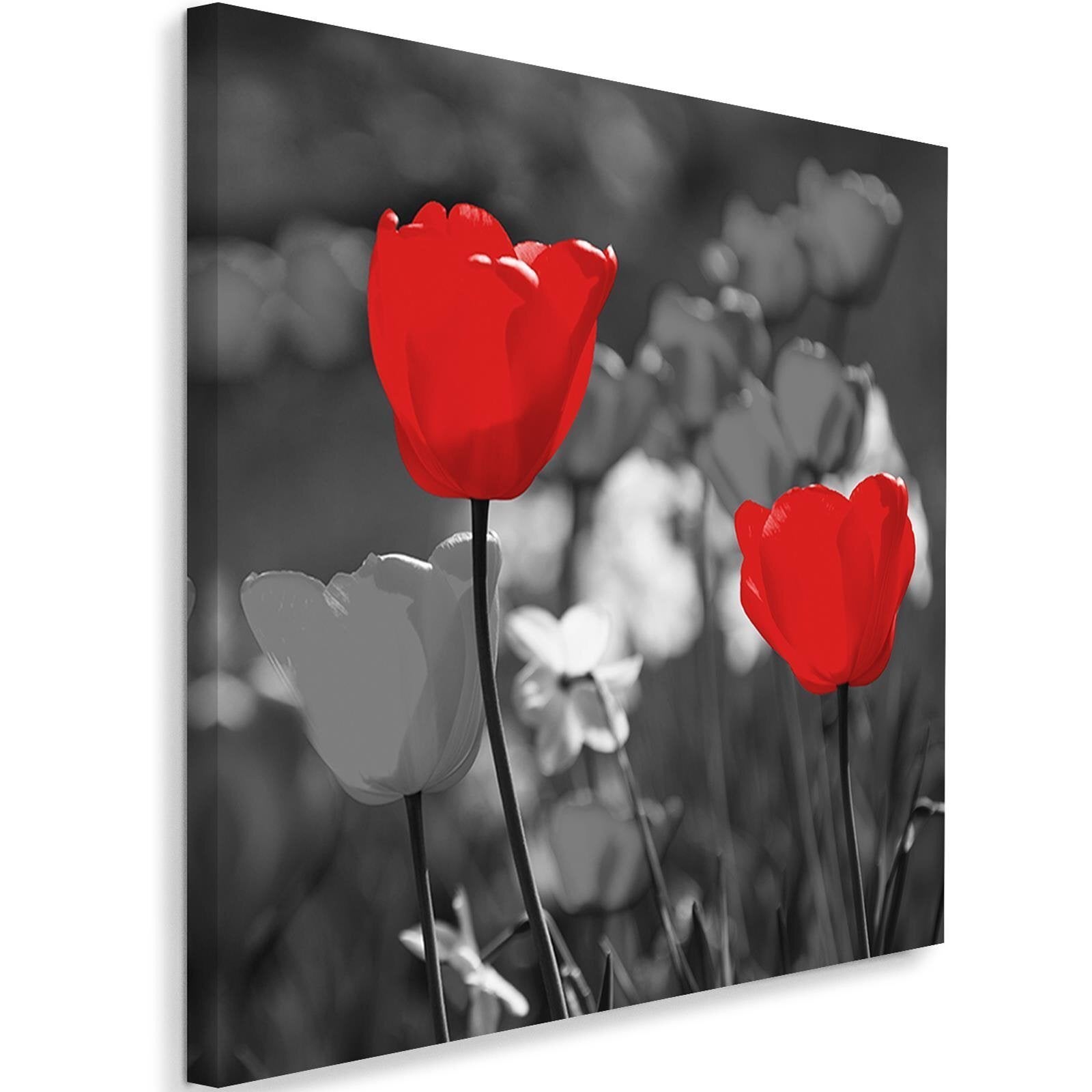 Obraz na płótnie, Czerwone tulipany na szarym tle 40x40