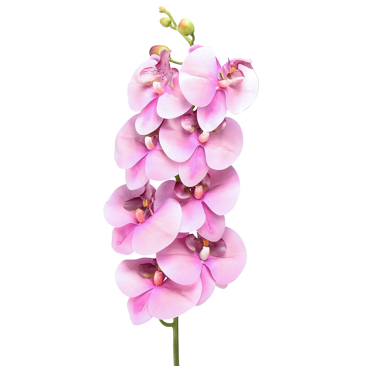 Orchidée Phalaenopsis artificielle 8 fleurs | Leroy Merlin