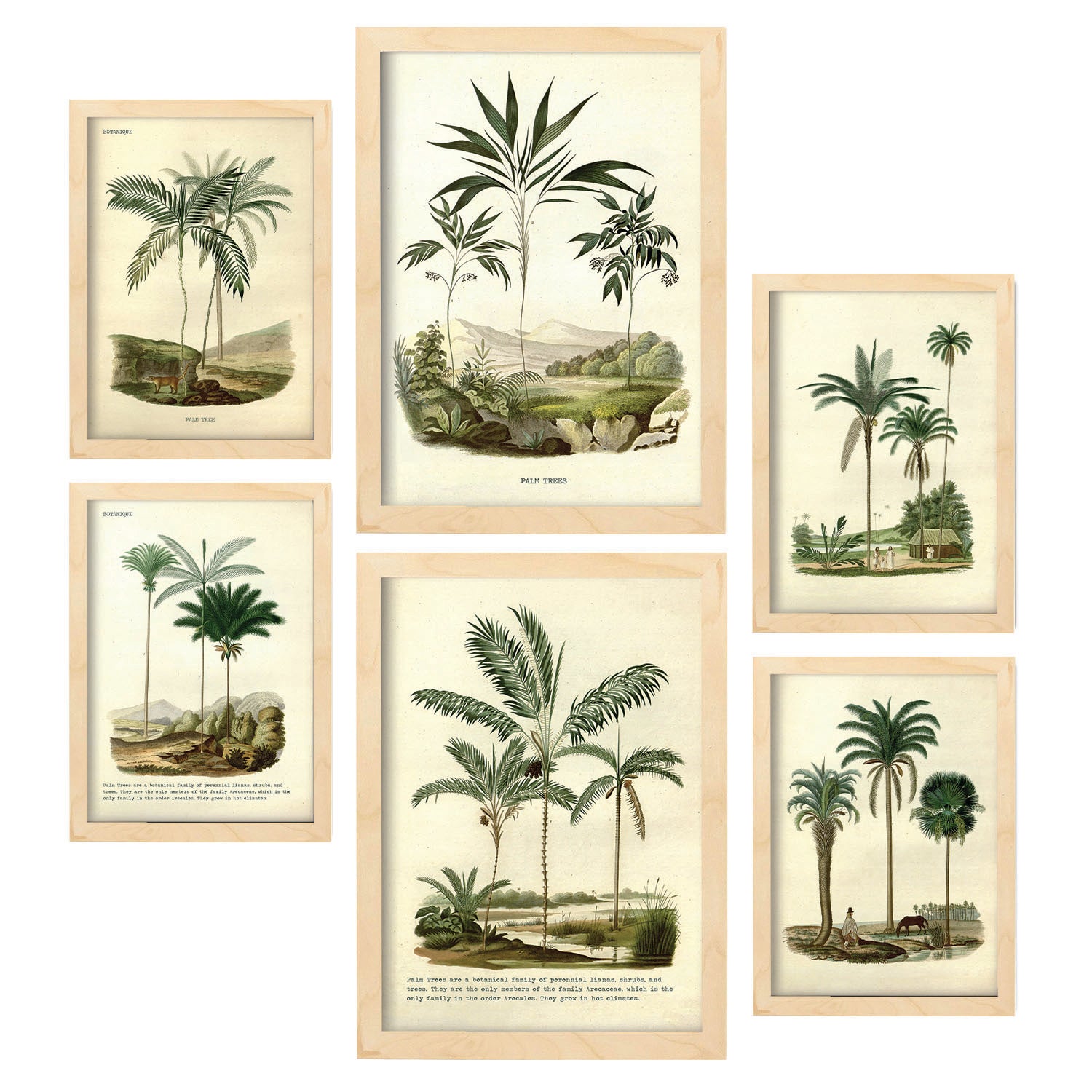 Dzxnouart Lot De 4 Tableaux Sur Toile Avec Nœud Et Coquette