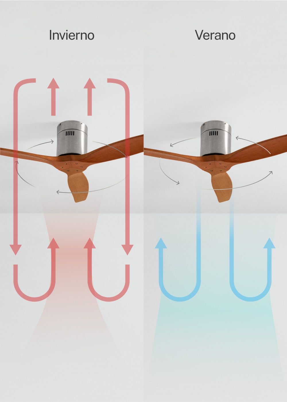 CREATE - WIND CALM M - Ventilateur de plafond silencieux 40W avec pales techniques en ABS Ø132cm sans eclaraige avec contrôleur mural - 6