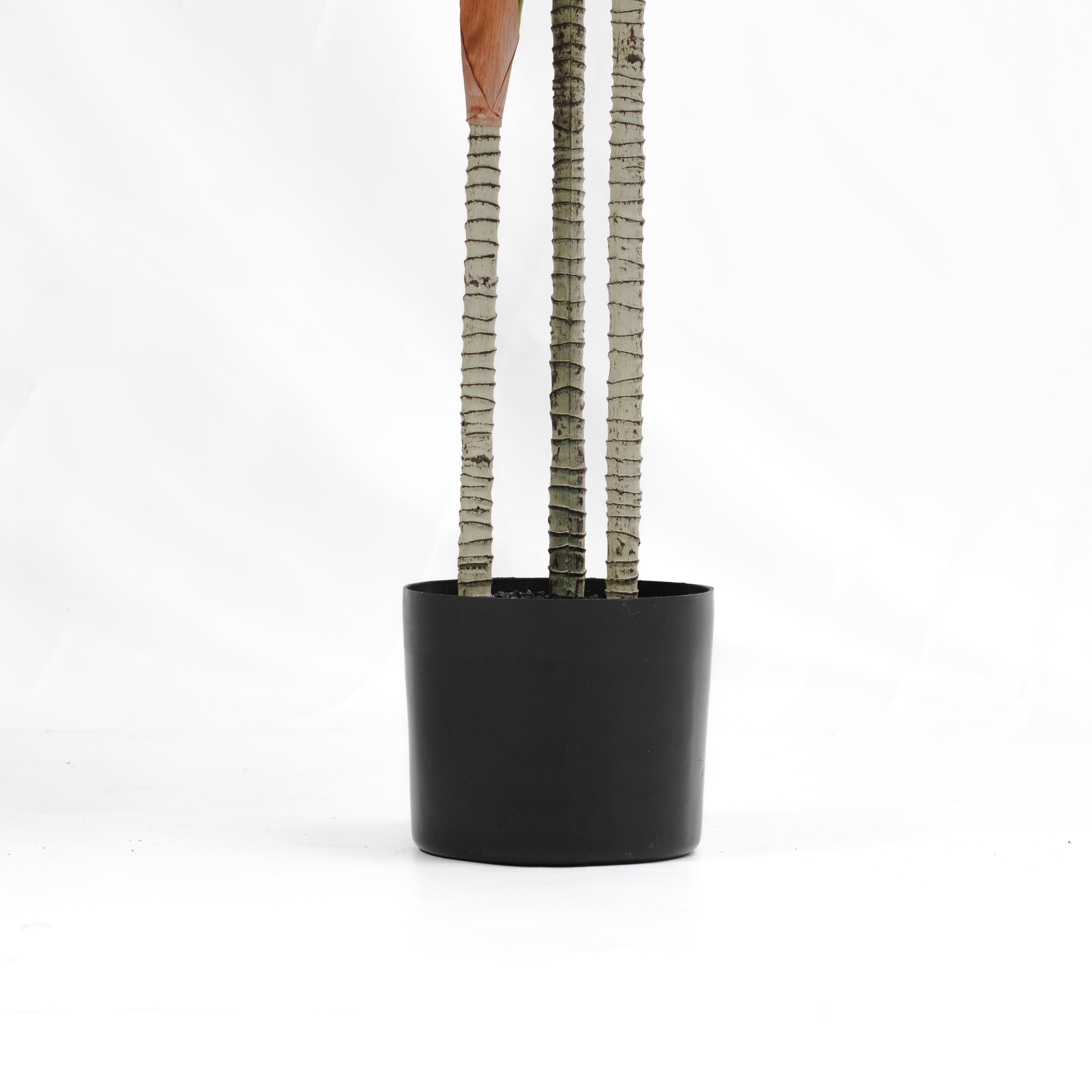 Planta Artificial Dracaena 120 cm - Drácena Artificial - 5