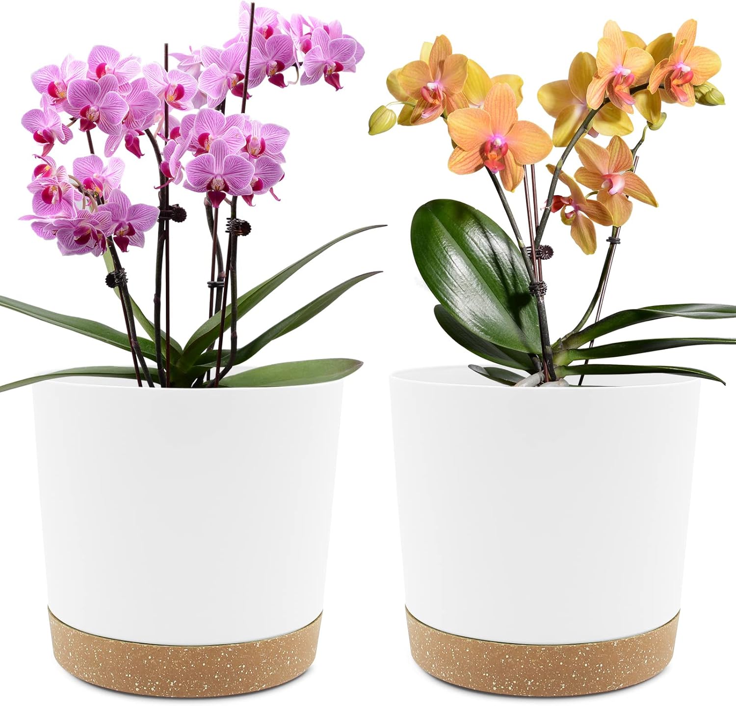 Gepege Vaso In Ceramica Per Piante Da 20,3 Cm – Con Foro Di Drenaggio E Sottovaso, Ideale Per Piante Grasse E Fiori - 2