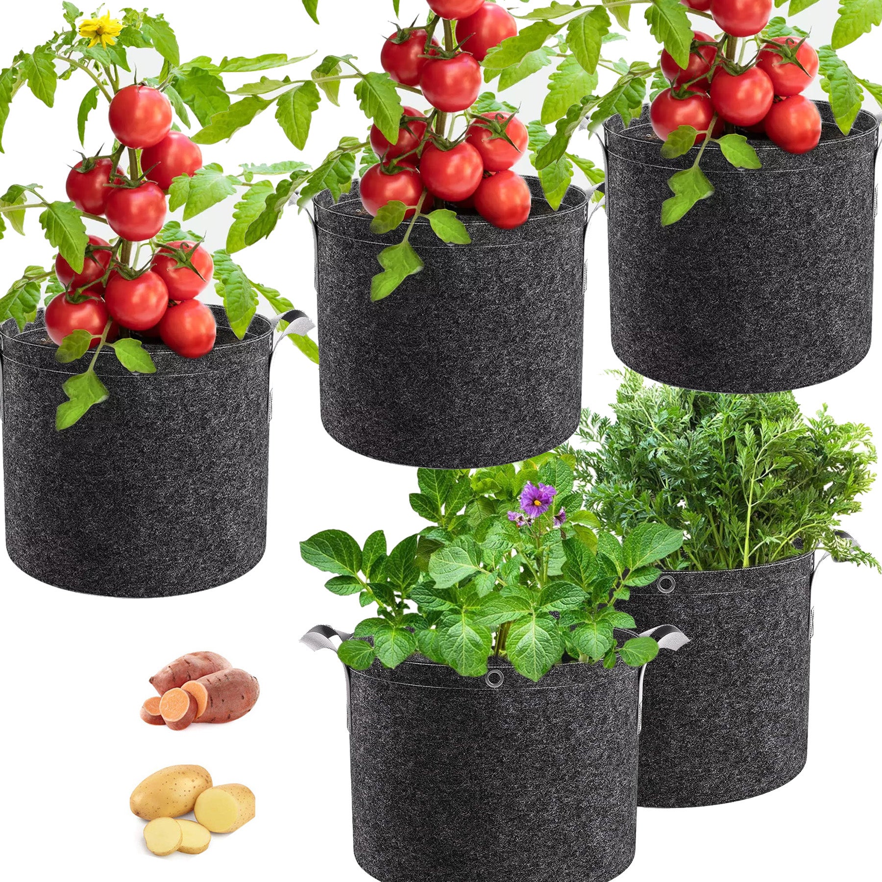Vasi Per Piante In Tessuto Da 5 Galloni - 30 Sacchetti Traspiranti Con Manici Per Patate, Verdure E Fiori, Riutilizzabili E Resistenti (nero)