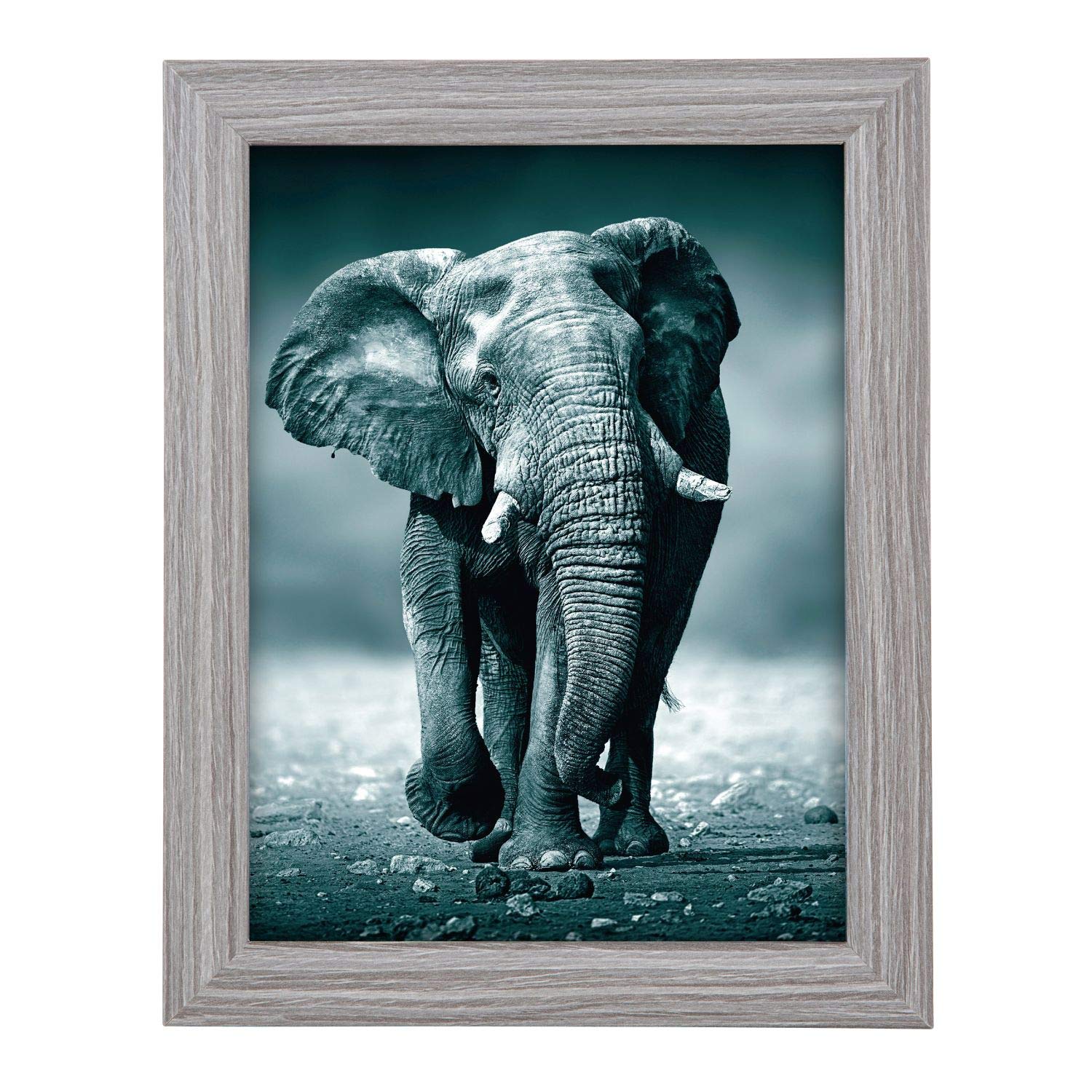 SET Cornici In Legno Da Parete OPTICAL Colorazione NERA Con Vetro - Foto 4