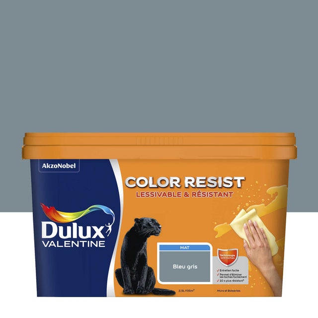 Peinture Color Resist Murs & Boiseries Bleu Gris