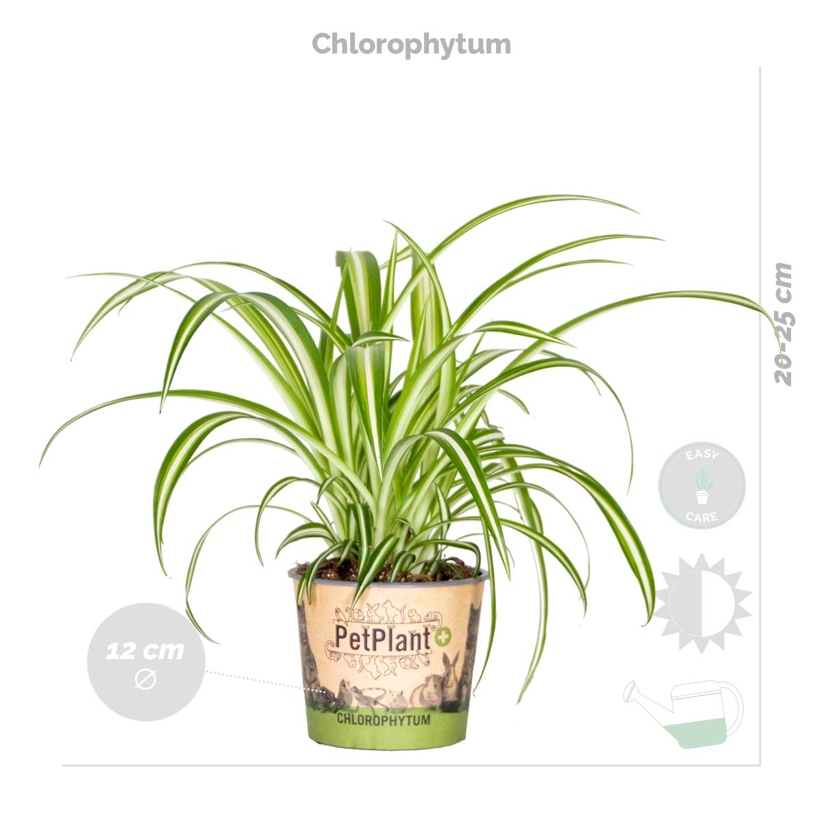 Lot de 4 - Mélange sans danger pour les animaux - H. 20-40 cm - P. 12 cm - 5