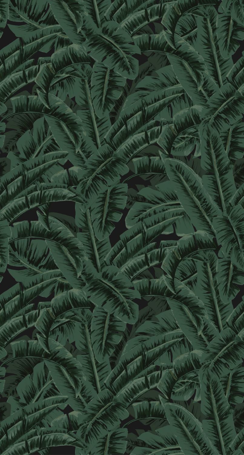Fotomural hojas de banano verde selva tropical - 150 x 279 cm - estahome