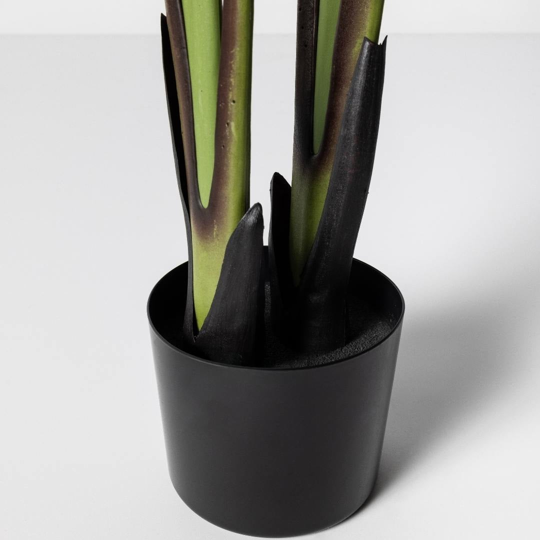 Planta Artificial Tropical, Ave del Paraíso Strelitzia 160cm. Gran Realismo con Maceta para Decoración Interior Salón Hogar y Oficina - 7