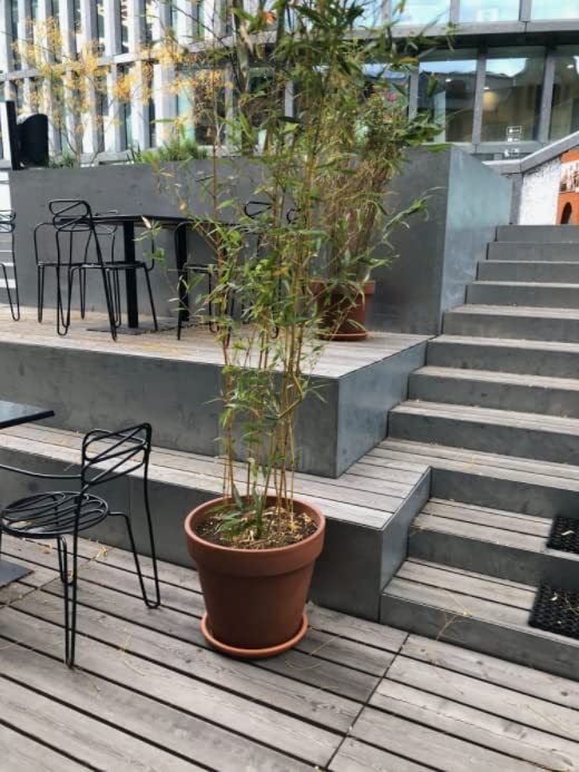 2 szt doniczka gliniana fi 19 donica ceramiczna terakota na kwiaty rośliny - KOTARBAU - 7
