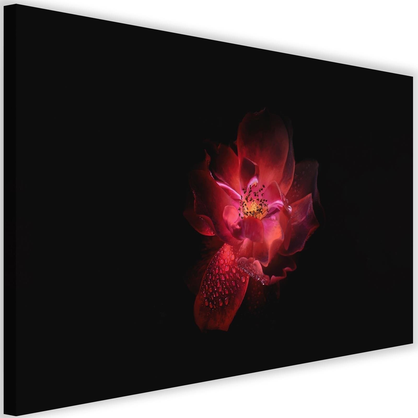 Obraz, Nocny kwiat 90x60