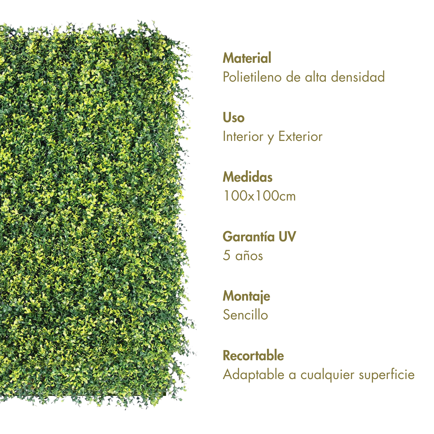 Jardín vertical artificial Soleado Verde y amarillo 100 x 100 cm | Naturing Monde - Para interior y exterior - Material HDPE - Garantía UV 5 años - 4