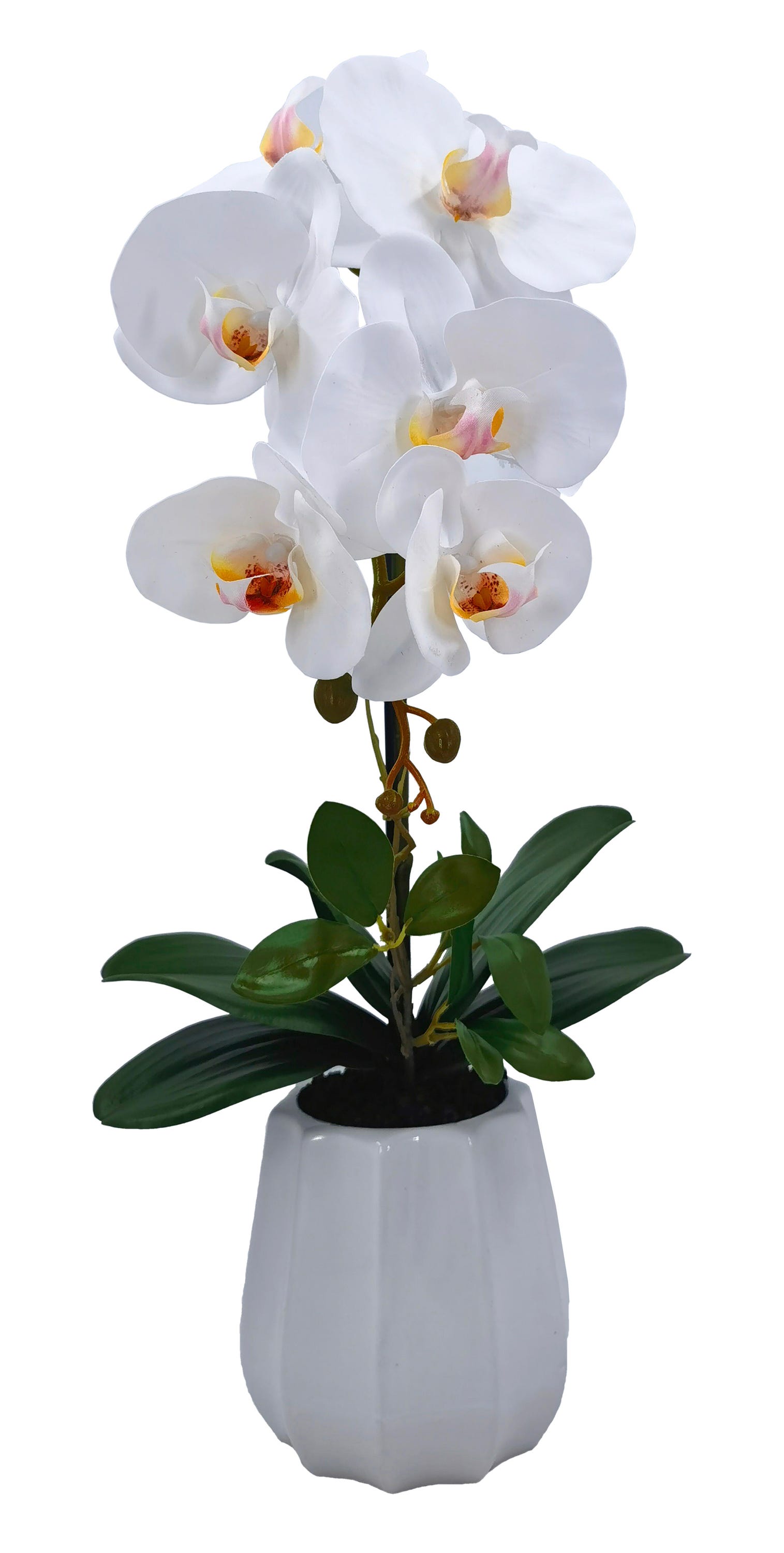Plante artificielle en pot de phalaenopsis de 54 cm de haut - 2