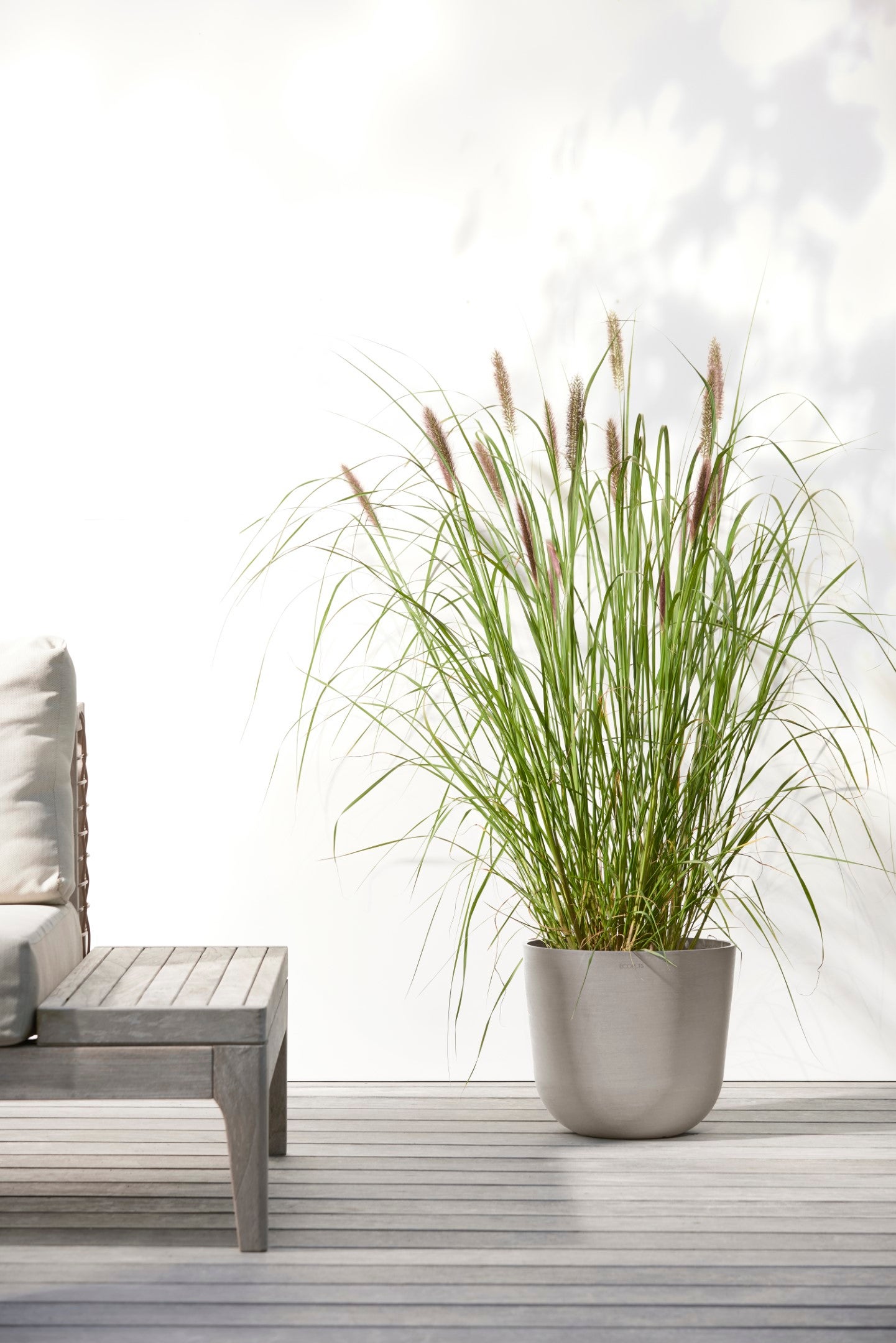 Ecopots Soucoupe ronde 30 pour pot de fleurs - L 28,7 cm x l 28,7 cm x H 3 cm - Blanc gris - Intérieur et extérieur - 4