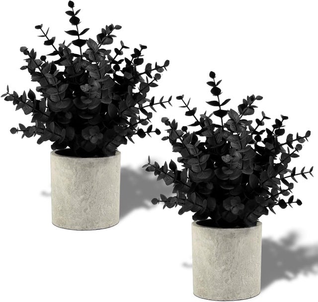 Juego de 2 pequeños eucaliptos artificiales negros en macetas, ideales para decorar estantes, escritorios, mesas de centro o casas de campo (negro).