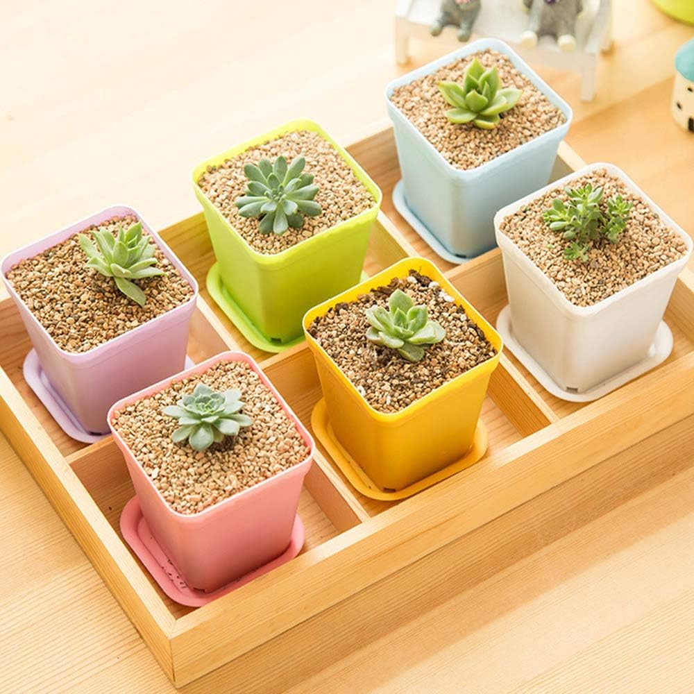 Lot de 24 pots de fleurs carrés en plastique coloré de 7,6 cm (3 pouces), adaptés aux semis, au repiquage et à la plantation. - 5
