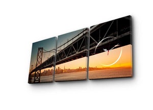 Lot De 4 Sets De Table Catherine Lansfield - Motif Animaux Bleu Marine 30x46 Cm