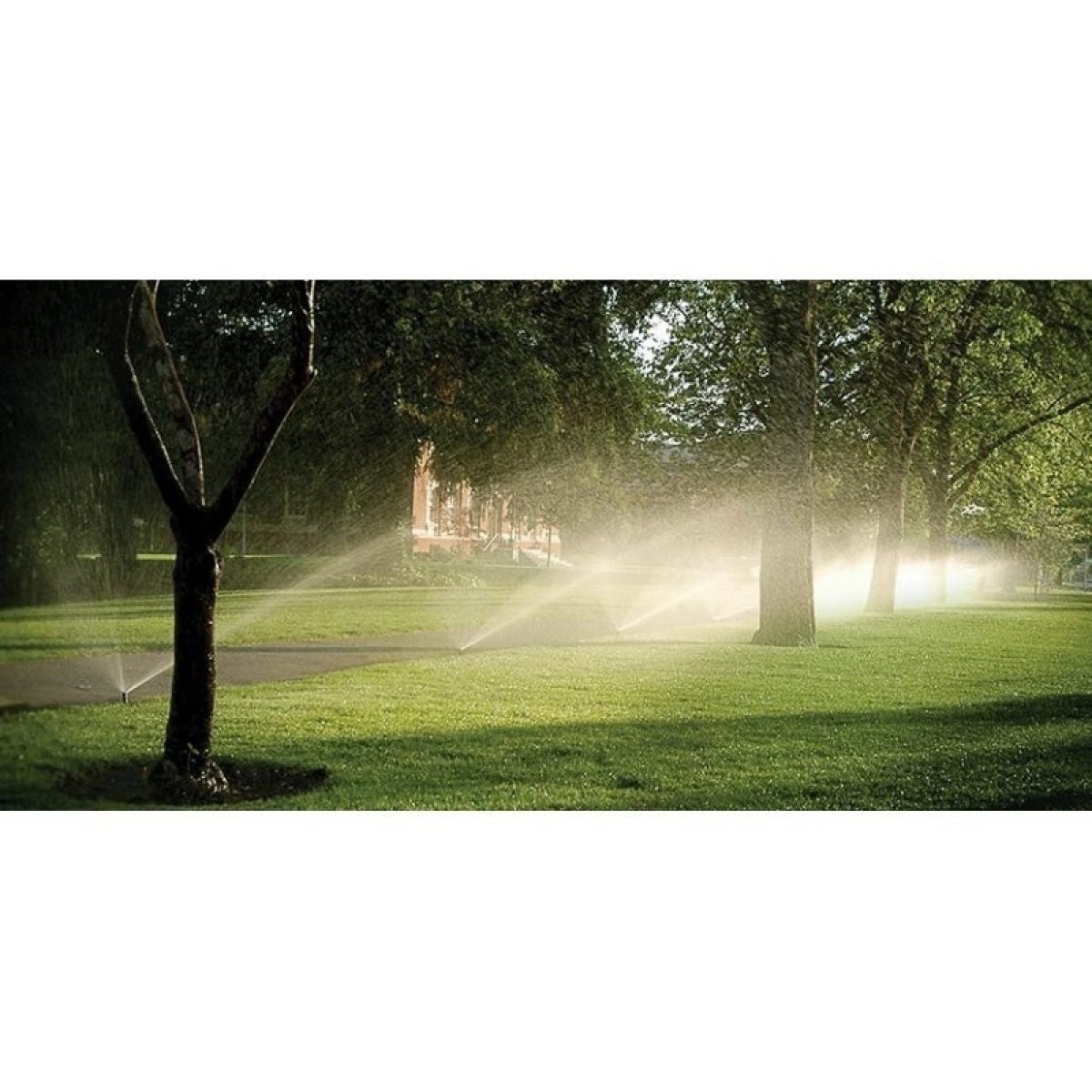 Diffuseur Hunter PSU-02-17A. Portée&nbsp;: 5,20&nbsp;mètres (lot de 10&nbsp;unités). | Offre exclusive - 4