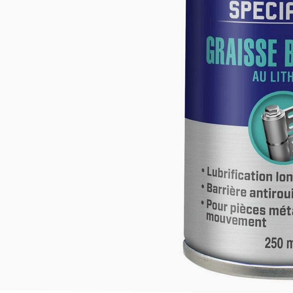 Bomboletta di grasso al litio WD40 250ml - 8