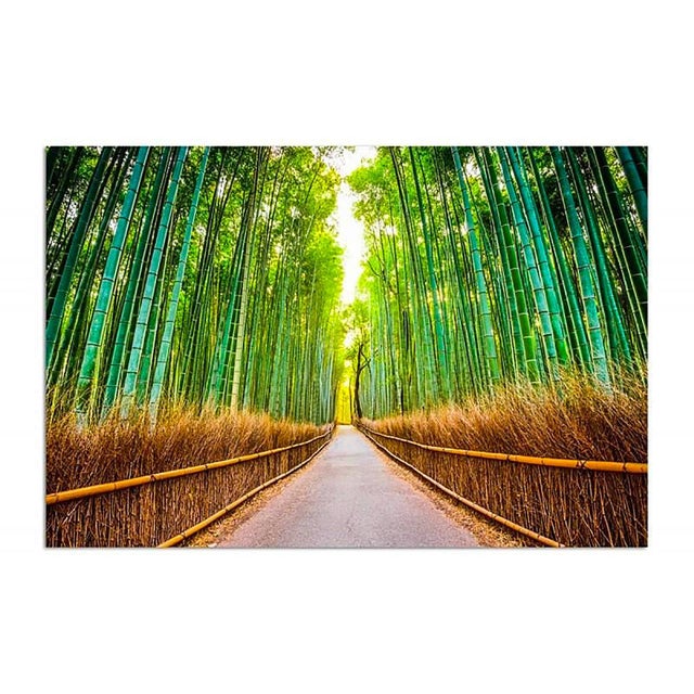 Tableau bois forêt de bambous - 80 x 60 cm