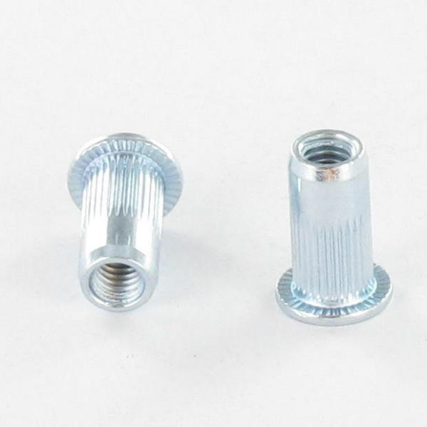 Scell-it - 100 écrous à sertir crantés inox A2 TF, D. M10 x 21 mm - ENK1045 - Scell-it