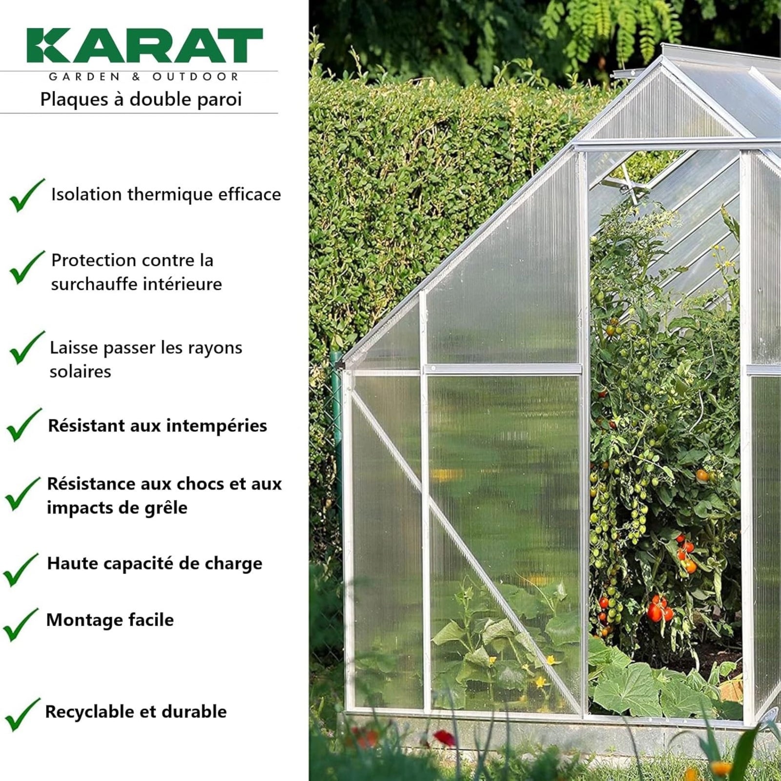 Plaque polycarbonate multifonctionnelle, 60,5 x 121 cm, Epaisseur = 4 mm - 4