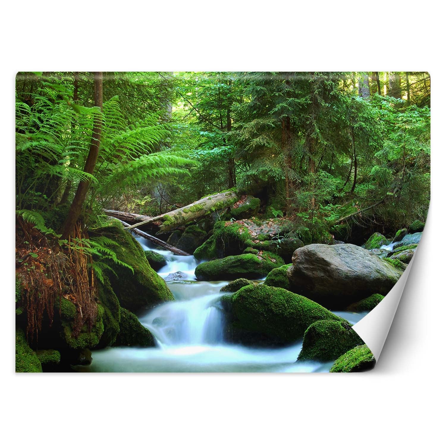 Fototapeta, Potok górski w lesie 250x175