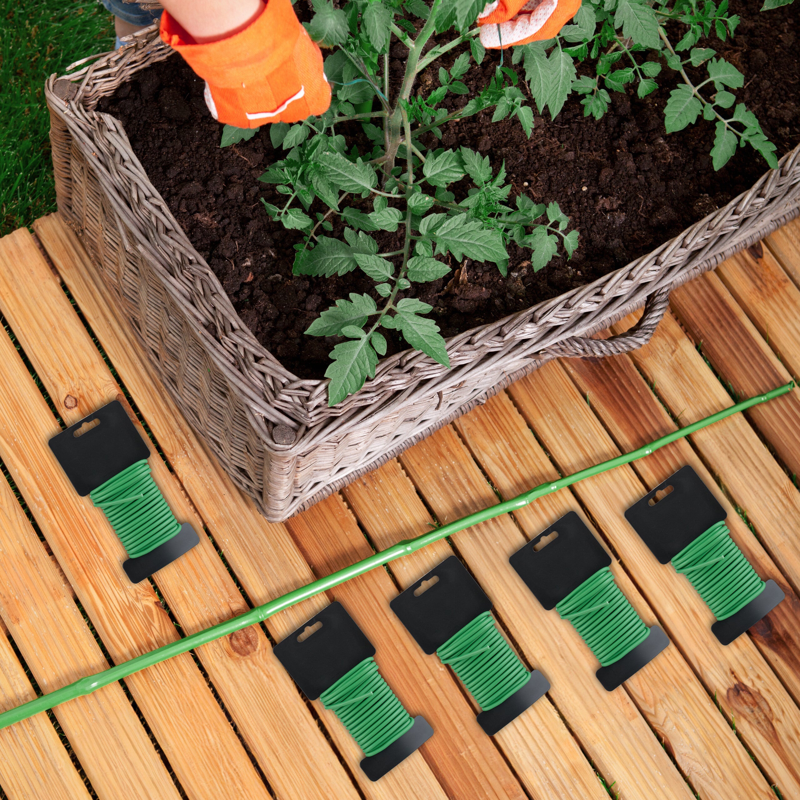 Traliccio Regolabile Per Piante Da Interno In Metallo Antiruggine – Supporto Versatile Per Rampicanti E Monstera, Ideale Per Vasi E Giardinaggio Domestico
