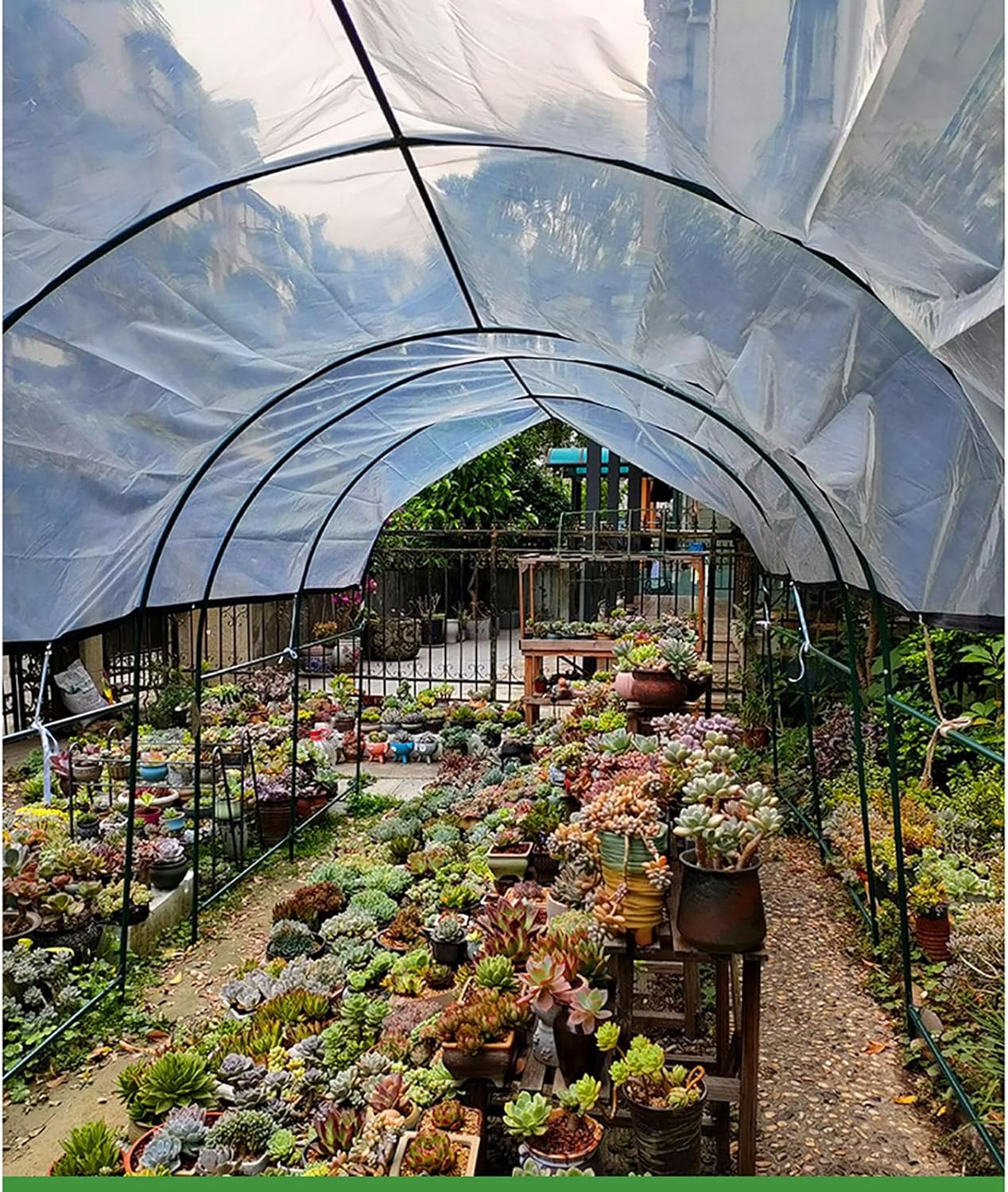 Bâche transparente épaisse, tissu imperméable robuste avec œillets, adaptée aux fenêtres et balcons des poulaillers d'hiver, 3 × 3 m - 3