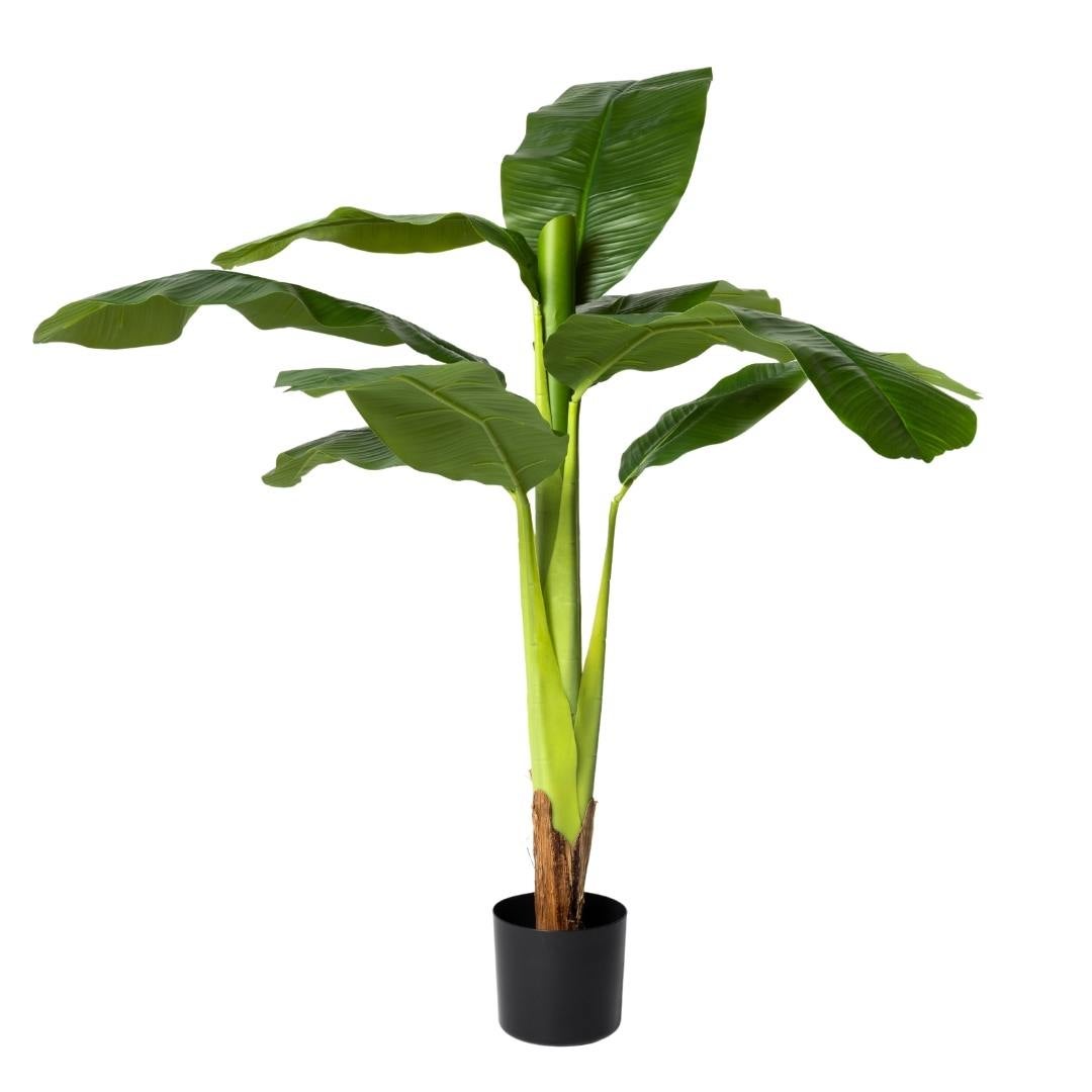 Kactus Republic  Planta Artificial Platanera Banana Tropical 120Cm. Gran Realismo Con Maceta Para Decoración Interior Hogar Y Oficina , Leroy Merlin