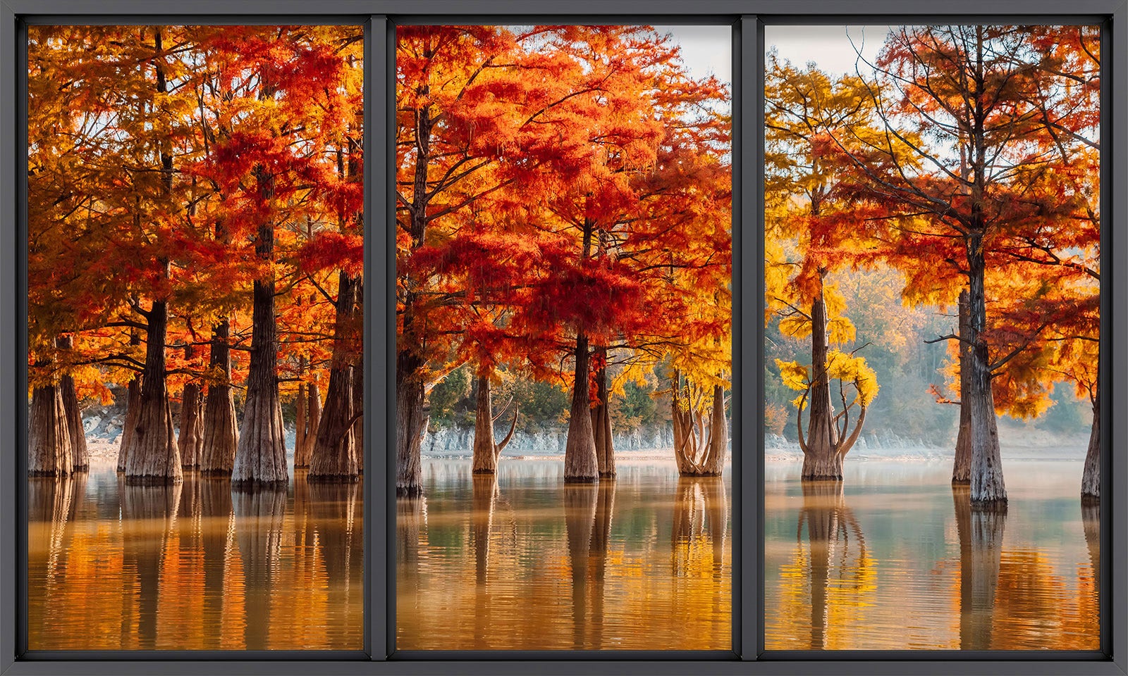 Papier Peint - Papiers Papier Peint Photo Automne - Forêt - Feuilles - Largeur 360 Cm